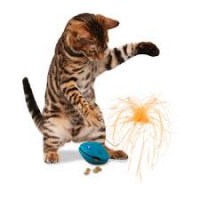 cattoys